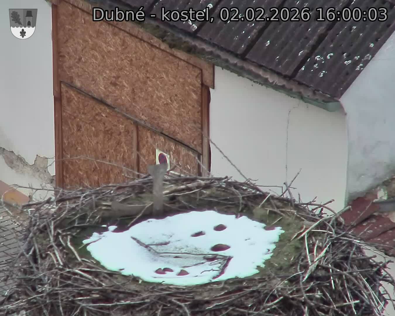 Capi_Dubne_20260202_160003.jpg (1350&nbsp;x&nbsp;1080)
