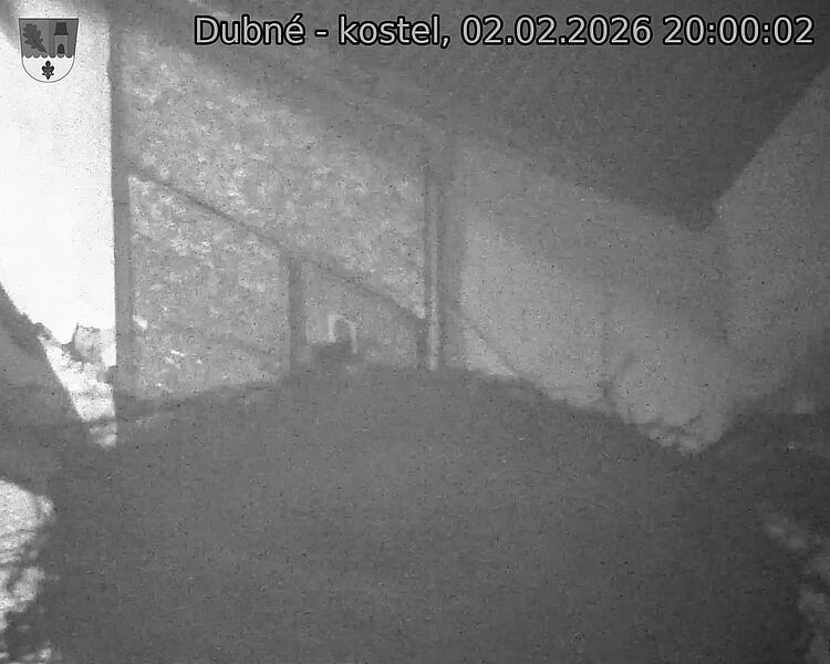 Capi_Dubne_20260202_200002.jpg (1350&nbsp;x&nbsp;1080)