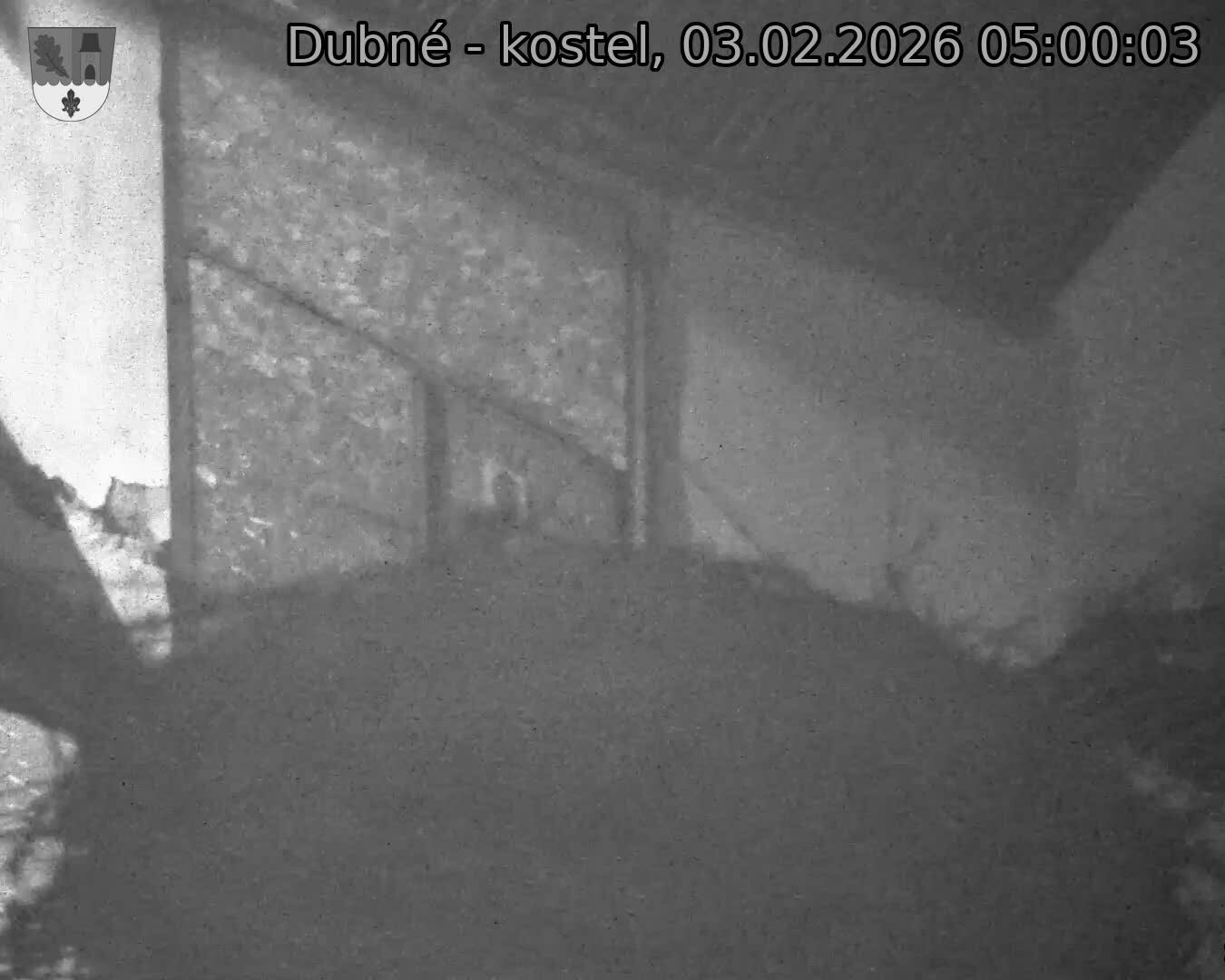 Capi_Dubne_20260203_050003.jpg (1350&nbsp;x&nbsp;1080)