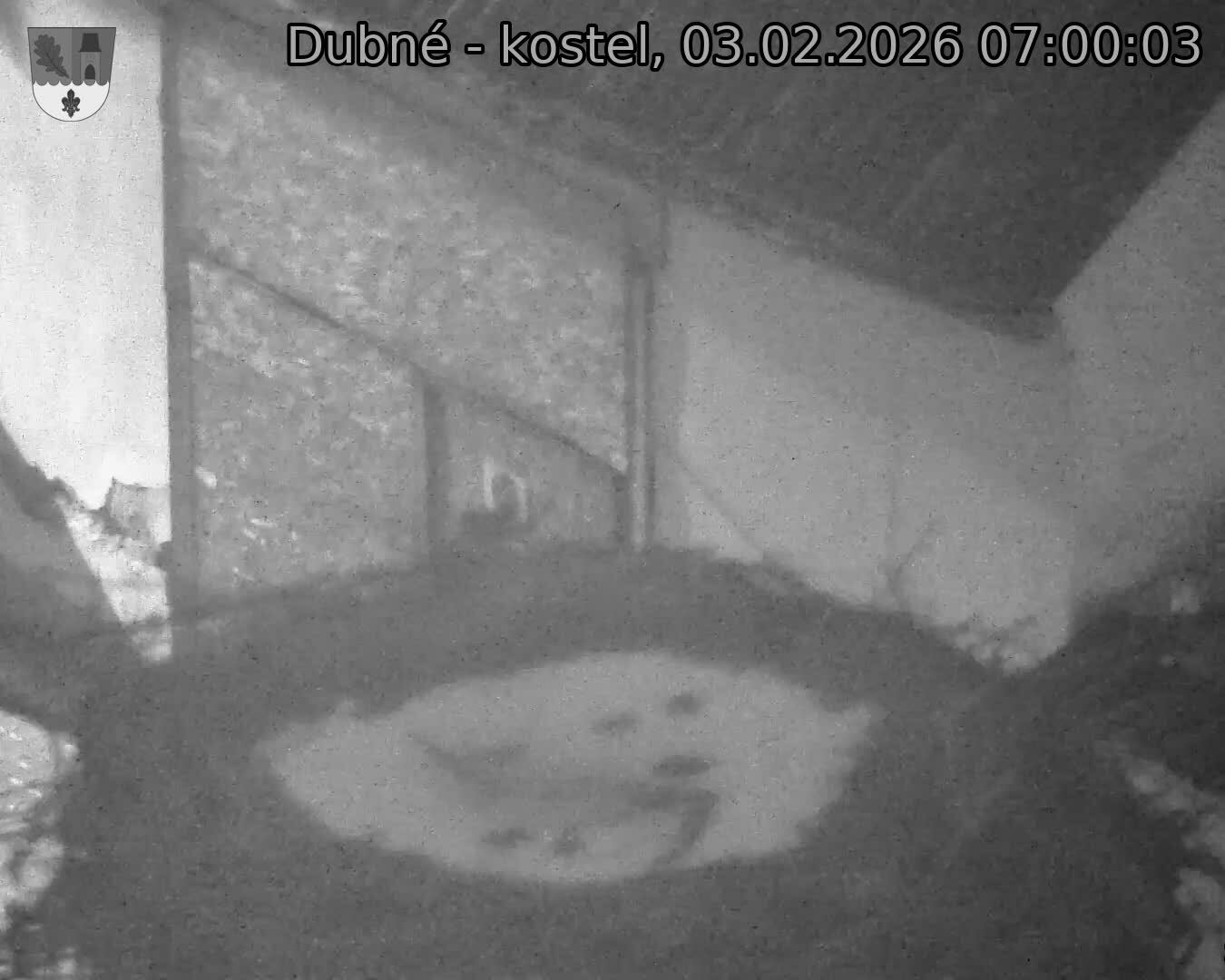 Capi_Dubne_20260203_070003.jpg (1350&nbsp;x&nbsp;1080)
