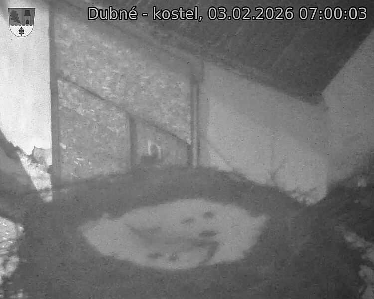 Capi_Dubne_20260203_070003.jpg (1350&nbsp;x&nbsp;1080)