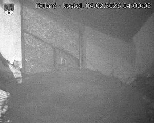 Capi_Dubne_20260204_040002.jpg (1350&nbsp;x&nbsp;1080)