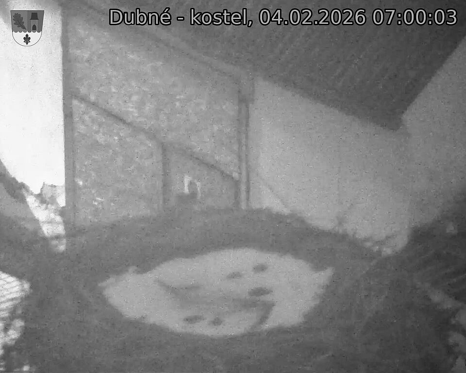 Capi_Dubne_20260204_070003.jpg (1350&nbsp;x&nbsp;1080)