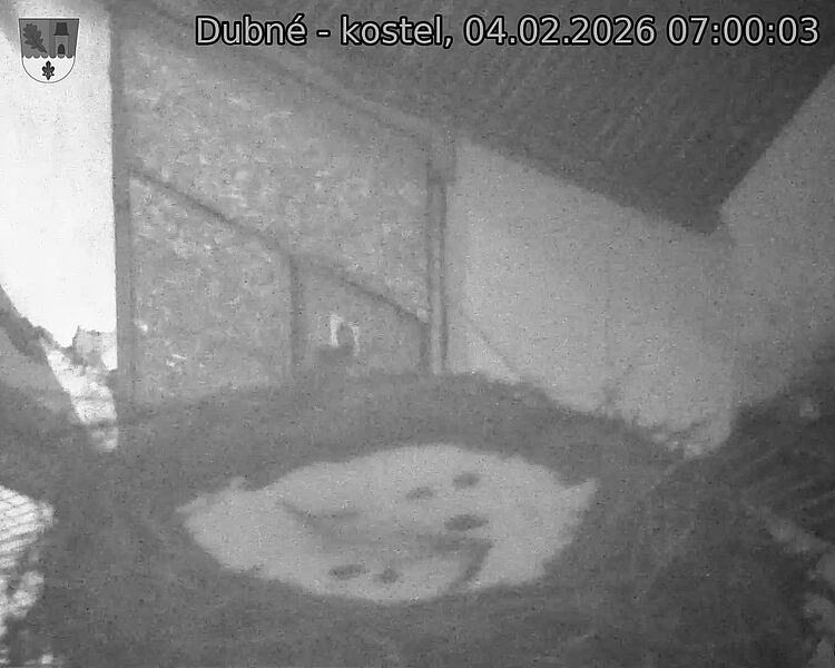 Capi_Dubne_20260204_070003.jpg (1350&nbsp;x&nbsp;1080)