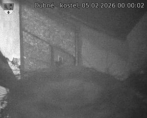 Capi_Dubne_20260205_000002.jpg (1350&nbsp;x&nbsp;1080)