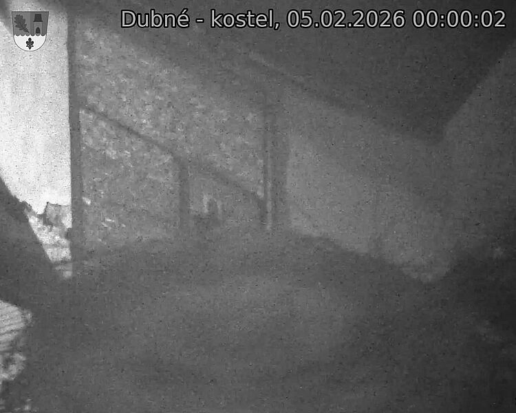 Capi_Dubne_20260205_000002.jpg (1350&nbsp;x&nbsp;1080)