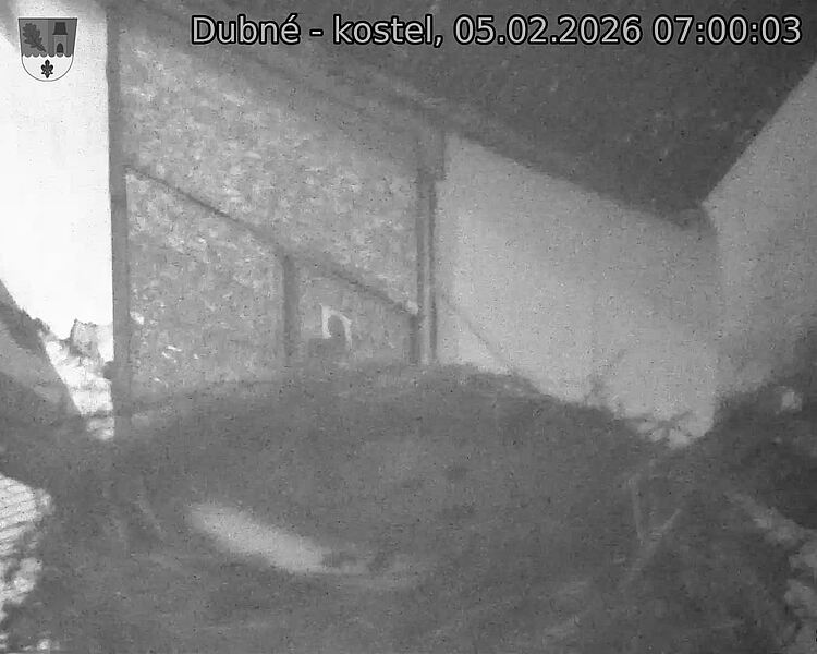 Capi_Dubne_20260205_070003.jpg (1350&nbsp;x&nbsp;1080)