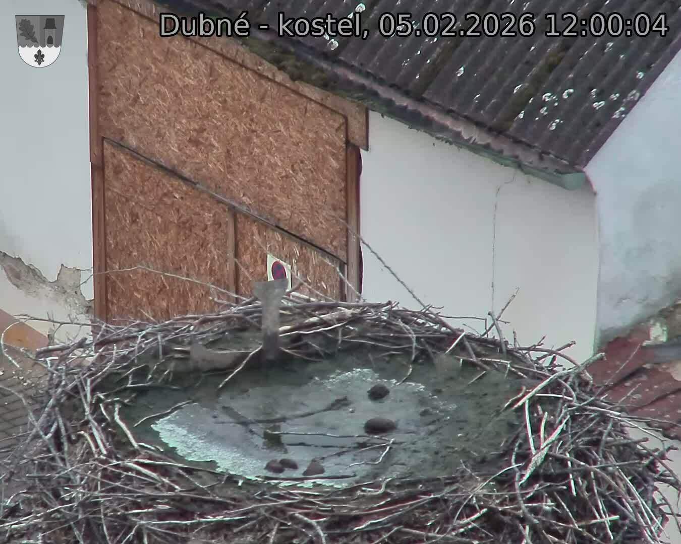 Capi_Dubne_20260205_120004.jpg (1350&nbsp;x&nbsp;1080)