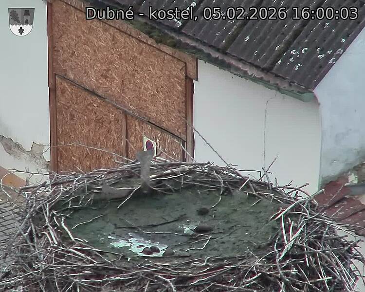 Capi_Dubne_20260205_160003.jpg (1350&nbsp;x&nbsp;1080)
