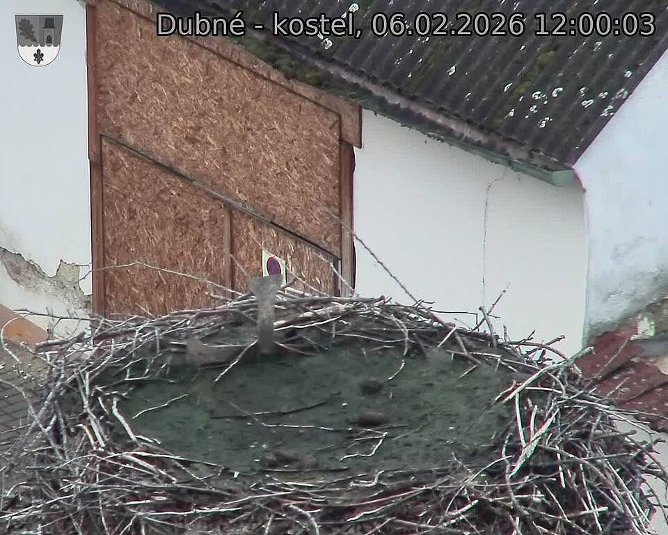 Capi_Dubne_20260206_120003.jpg (1350&nbsp;x&nbsp;1080)