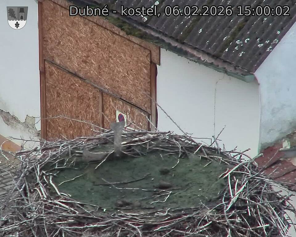 Capi_Dubne_20260206_150002.jpg (1350&nbsp;x&nbsp;1080)
