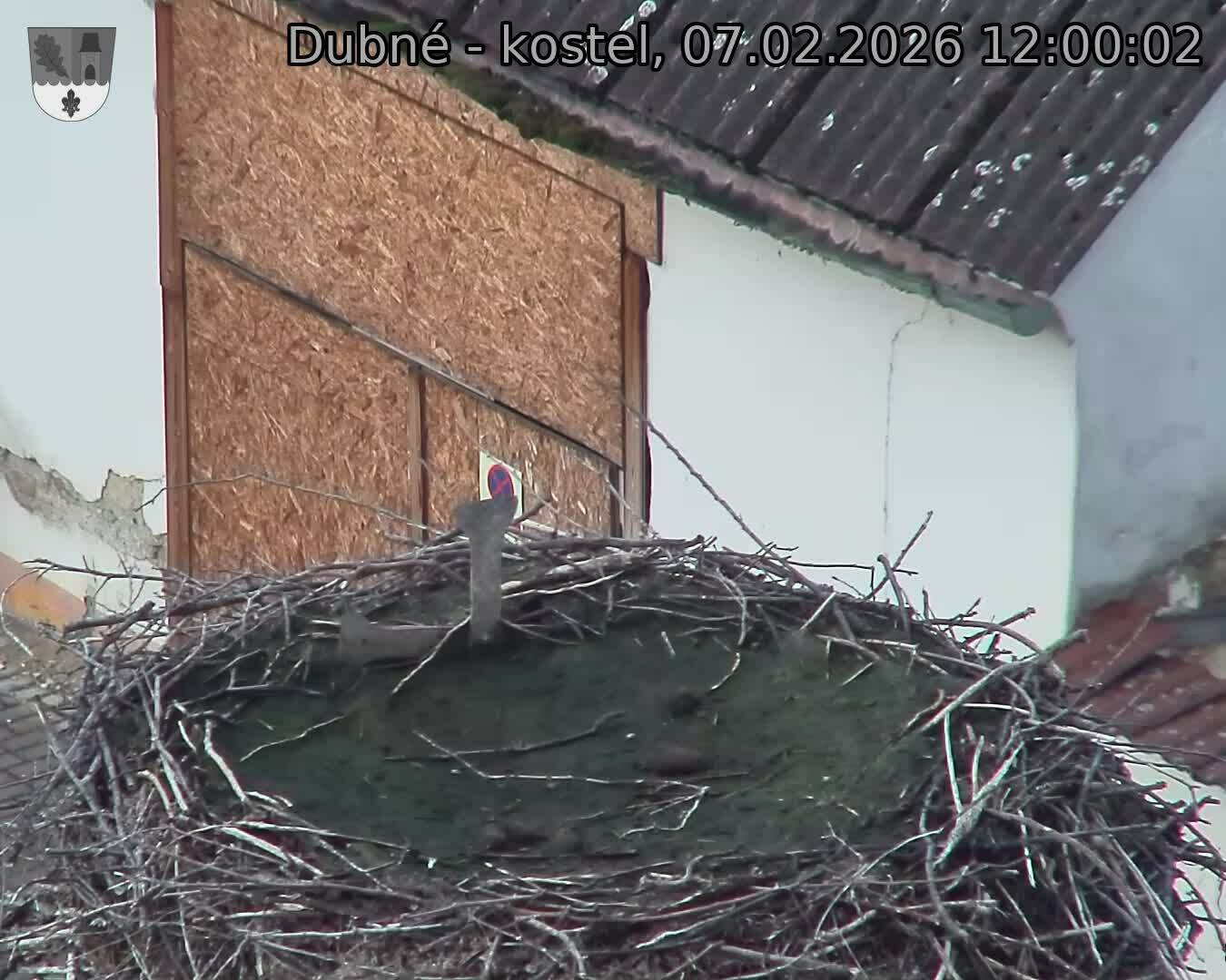 Capi_Dubne_20260207_120002.jpg (1350&nbsp;x&nbsp;1080)