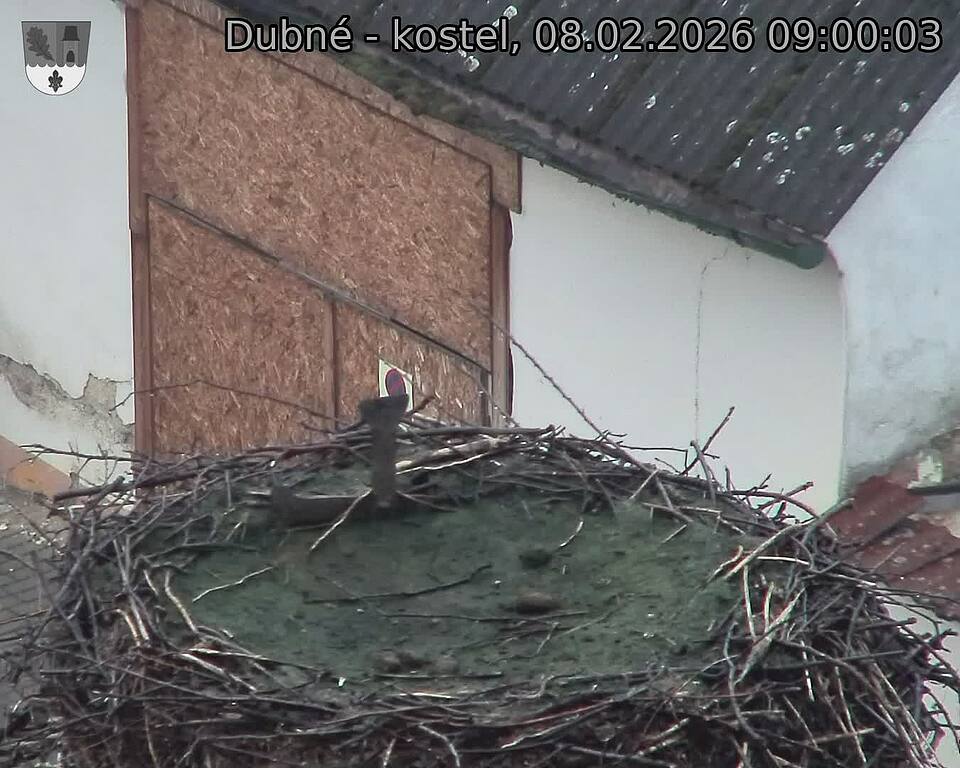 Capi_Dubne_20260208_090003.jpg (1350&nbsp;x&nbsp;1080)