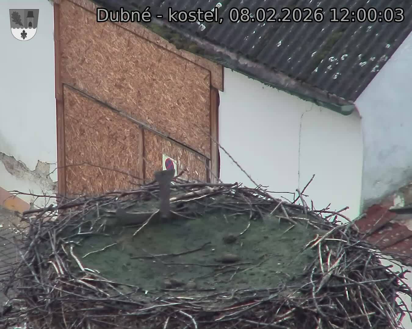 Capi_Dubne_20260208_120003.jpg (1350&nbsp;x&nbsp;1080)