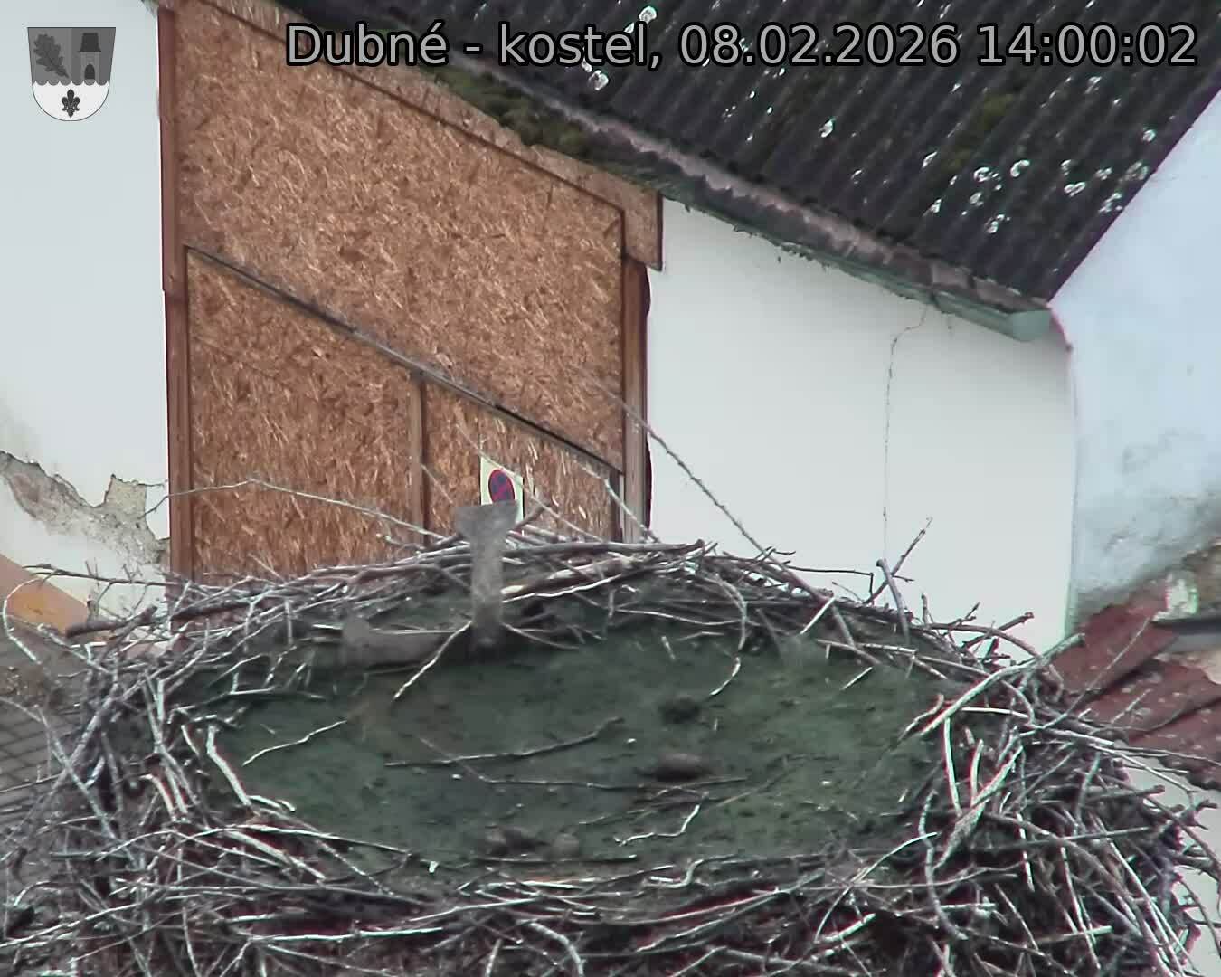 Capi_Dubne_20260208_140002.jpg (1350&nbsp;x&nbsp;1080)