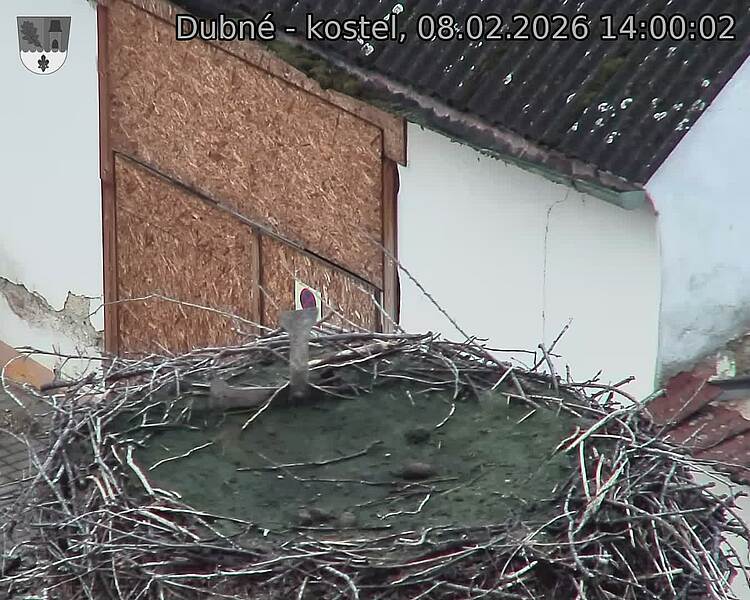 Capi_Dubne_20260208_140002.jpg (1350&nbsp;x&nbsp;1080)