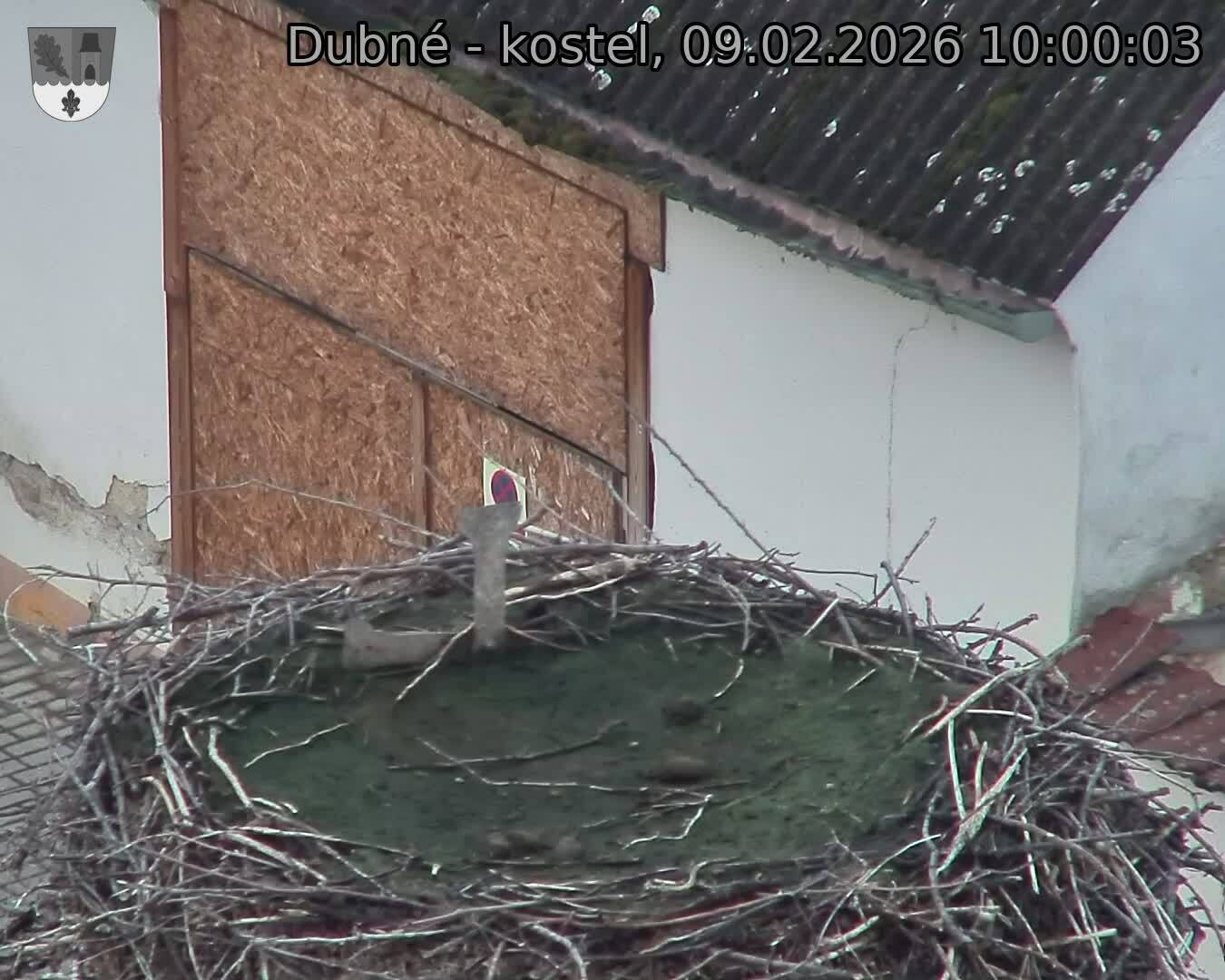 Capi_Dubne_20260209_100003.jpg (1350&nbsp;x&nbsp;1080)