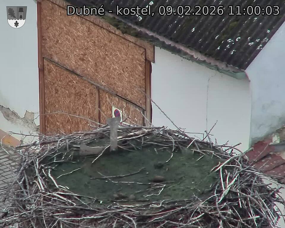 Capi_Dubne_20260209_110003.jpg (1350&nbsp;x&nbsp;1080)