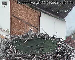 Capi_Dubne_20260209_160004.jpg (1350&nbsp;x&nbsp;1080)