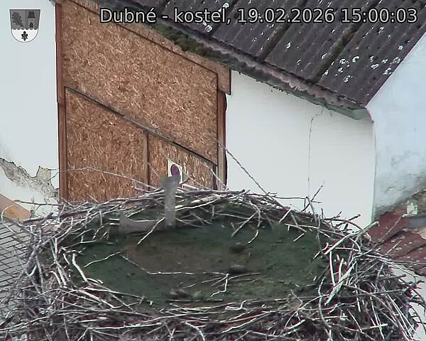 Capi_Dubne_20260219_150003.jpg (1350&nbsp;x&nbsp;1080)