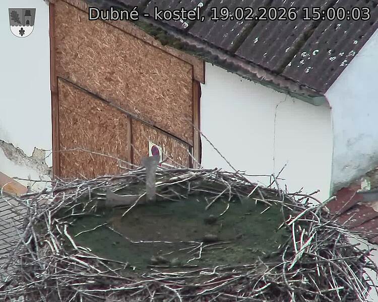 Capi_Dubne_20260219_150003.jpg (1350&nbsp;x&nbsp;1080)