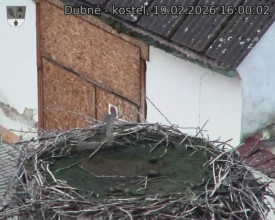 Capi_Dubne_20260219_160002.jpg (1350&nbsp;x&nbsp;1080)
