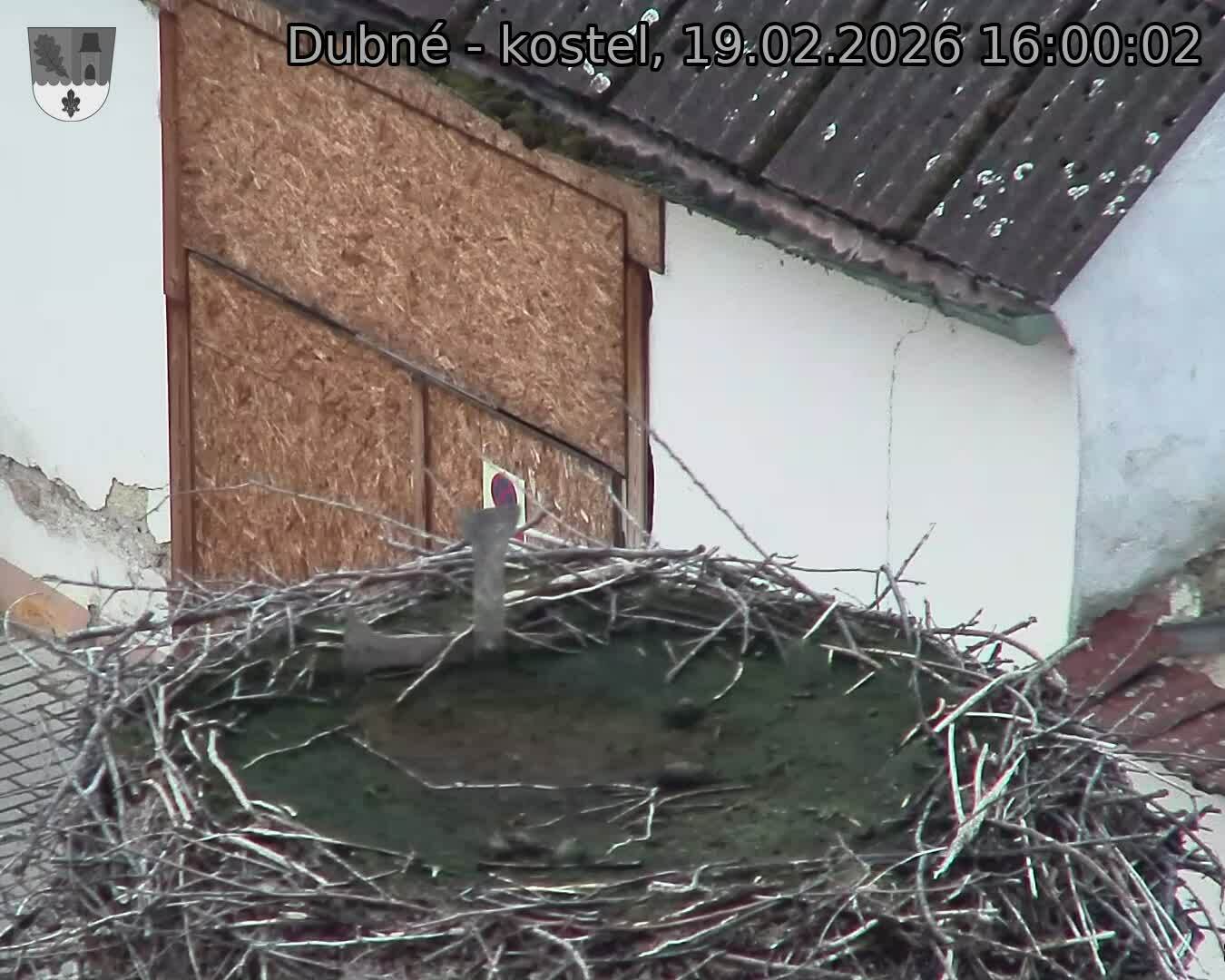 Capi_Dubne_20260219_160002.jpg (1350&nbsp;x&nbsp;1080)