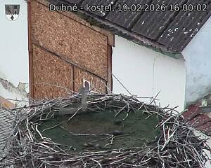 Capi_Dubne_20260219_160002.jpg (1350&nbsp;x&nbsp;1080)