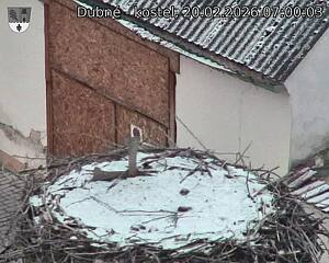 Capi_Dubne_20260220_070003.jpg (1350&nbsp;x&nbsp;1080)