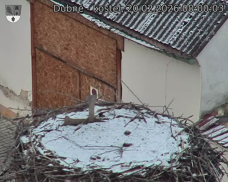 Capi_Dubne_20260220_080003.jpg (1350&nbsp;x&nbsp;1080)