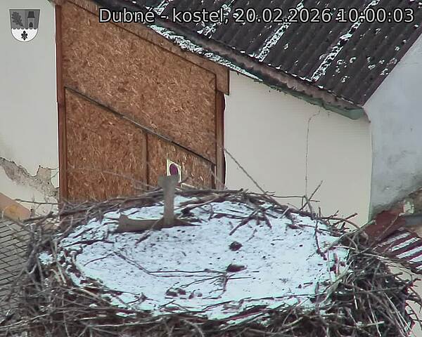 Capi_Dubne_20260220_100003.jpg (1350&nbsp;x&nbsp;1080)