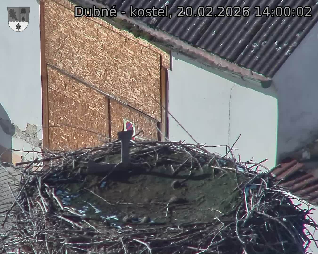 Capi_Dubne_20260220_140003.jpg (1350&nbsp;x&nbsp;1080)