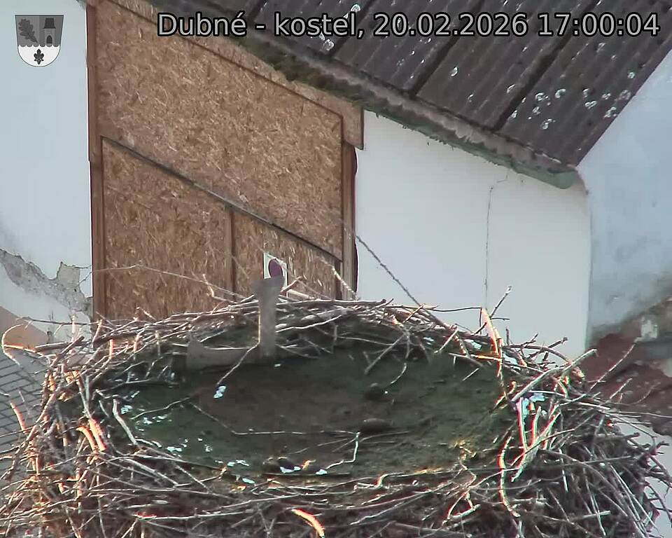 Capi_Dubne_20260220_170004.jpg (1350&nbsp;x&nbsp;1080)