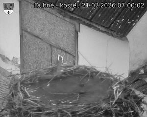 Capi_Dubne_20260221_070002.jpg (1350&nbsp;x&nbsp;1080)