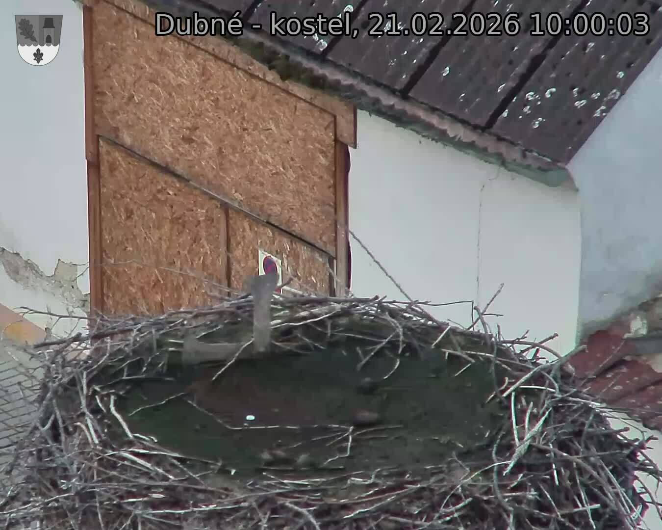 Capi_Dubne_20260221_100003.jpg (1350&nbsp;x&nbsp;1080)