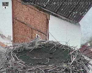 Capi_Dubne_20260222_070003.jpg (1350&nbsp;x&nbsp;1080)