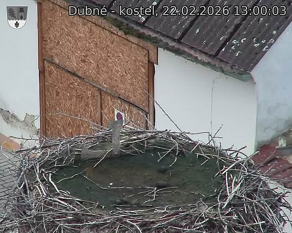 Capi_Dubne_20260222_130003.jpg (1350&nbsp;x&nbsp;1080)