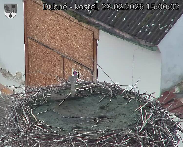 Capi_Dubne_20260223_150002.jpg (1350&nbsp;x&nbsp;1080)