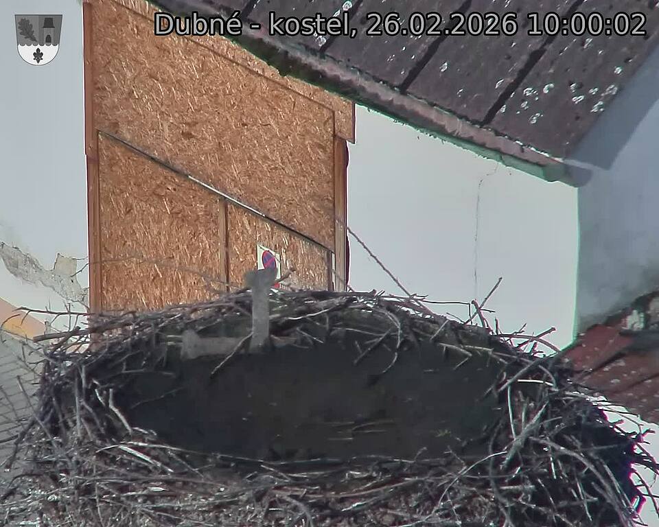 Capi_Dubne_20260226_100002.jpg (1350&nbsp;x&nbsp;1080)