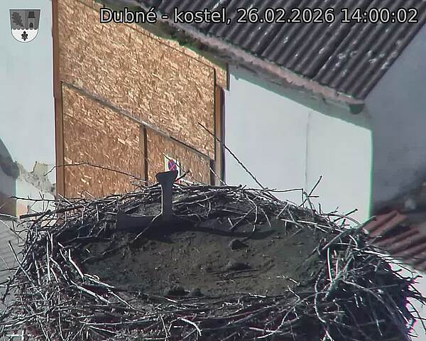Capi_Dubne_20260226_140003.jpg (1350&nbsp;x&nbsp;1080)