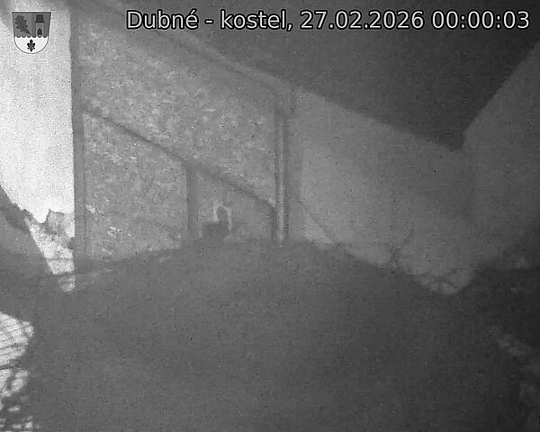 Capi_Dubne_20260227_000003.jpg (1350&nbsp;x&nbsp;1080)