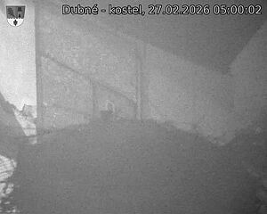 Capi_Dubne_20260227_050002.jpg (1350&nbsp;x&nbsp;1080)