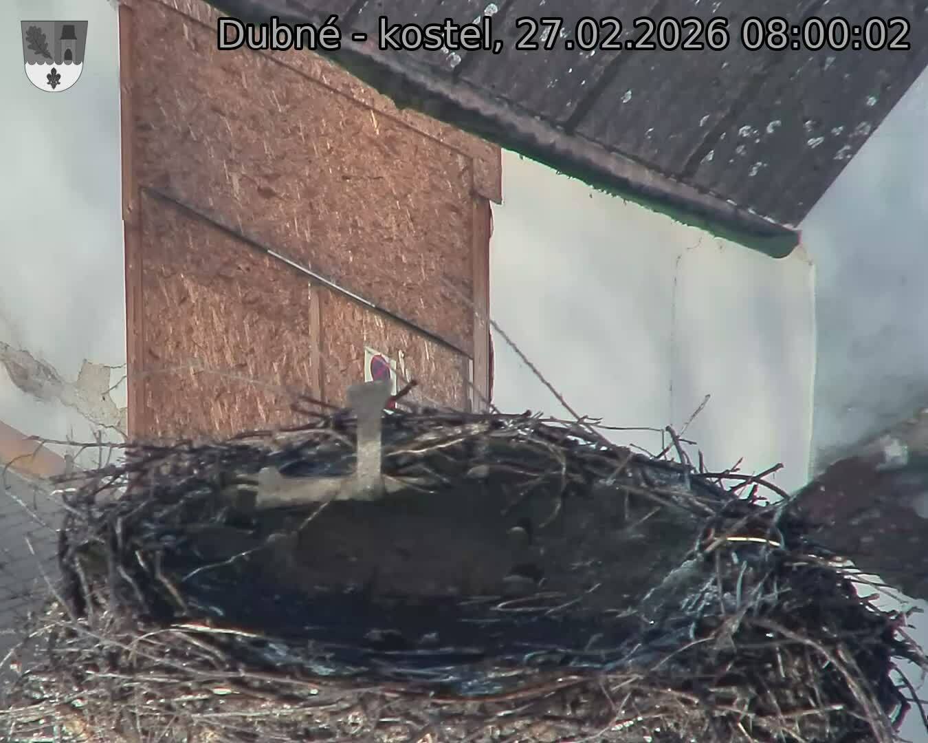 Capi_Dubne_20260227_080002.jpg (1350&nbsp;x&nbsp;1080)