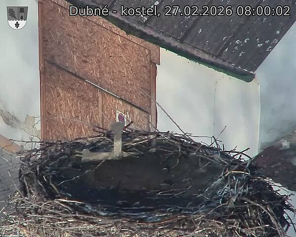 Capi_Dubne_20260227_080002.jpg (1350&nbsp;x&nbsp;1080)