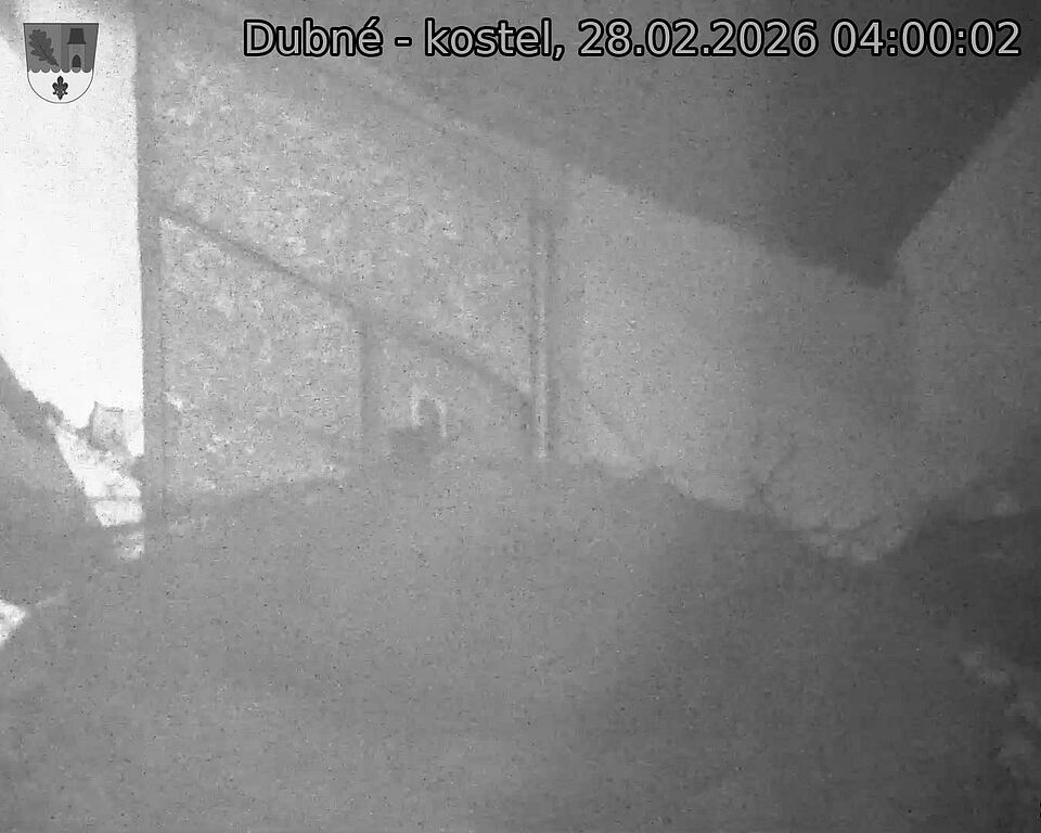 Capi_Dubne_20260228_040002.jpg (1350&nbsp;x&nbsp;1080)