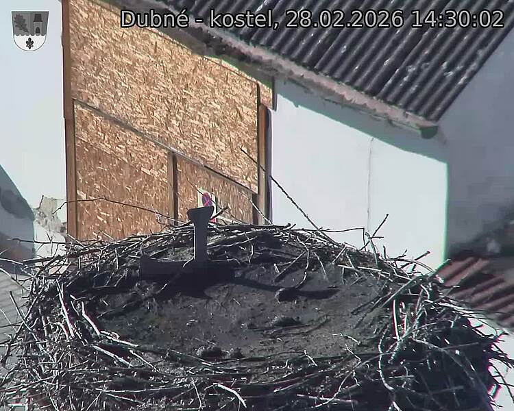 Capi_Dubne_20260228_143002.jpg (1350&nbsp;x&nbsp;1080)