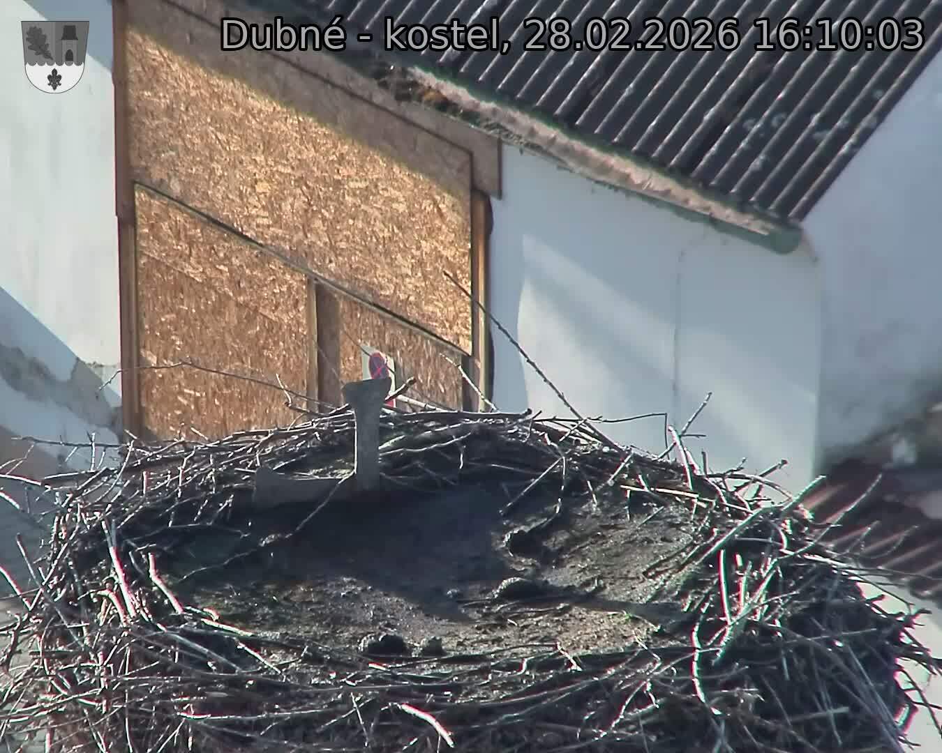 Capi_Dubne_20260228_161003.jpg (1350&nbsp;x&nbsp;1080)