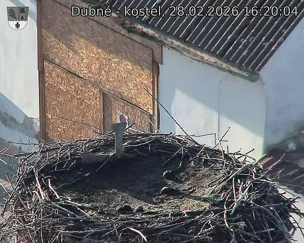 Capi_Dubne_20260228_162004.jpg (1350&nbsp;x&nbsp;1080)