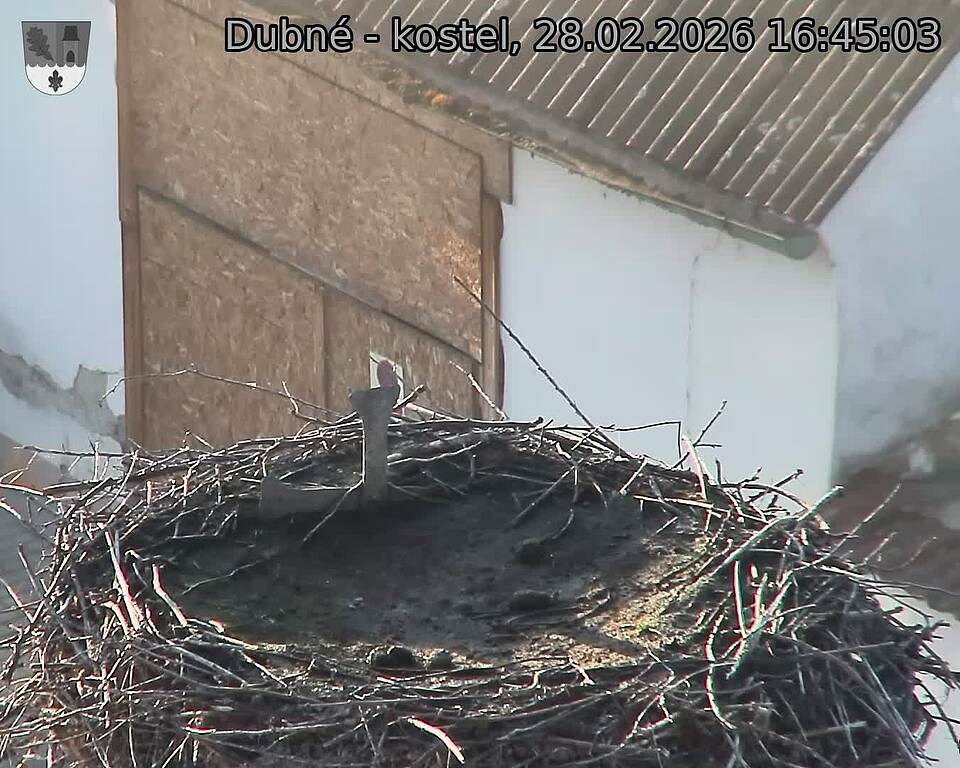 Capi_Dubne_20260228_164503.jpg (1350&nbsp;x&nbsp;1080)