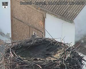 Capi_Dubne_20260228_164503.jpg (1350&nbsp;x&nbsp;1080)